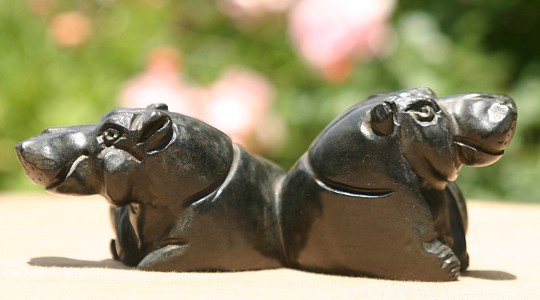 Hanging Out Together