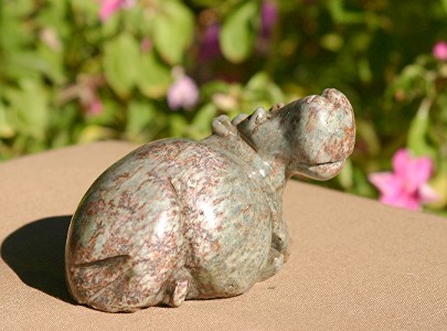 Day Dreaming Hippo