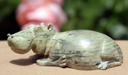 Concerned Looking Hippo