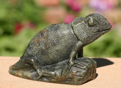 Warming up on a Rock