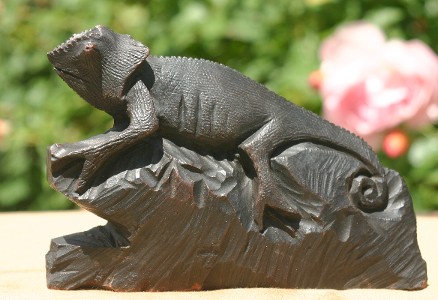 Beady Eyed Chameleon