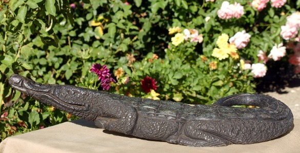 Beady Eyed Crocodile