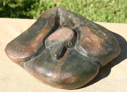 Serpentine Duck by Diana Tago