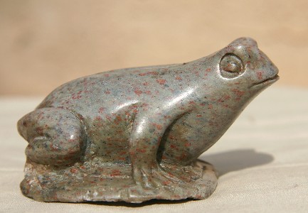 Little Frog Looking Quite Suprised