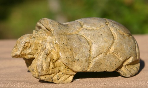 Serpentine Tortoise by Sam Mrewa